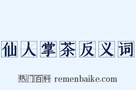 仙人掌茶反义词是什么意思的图片